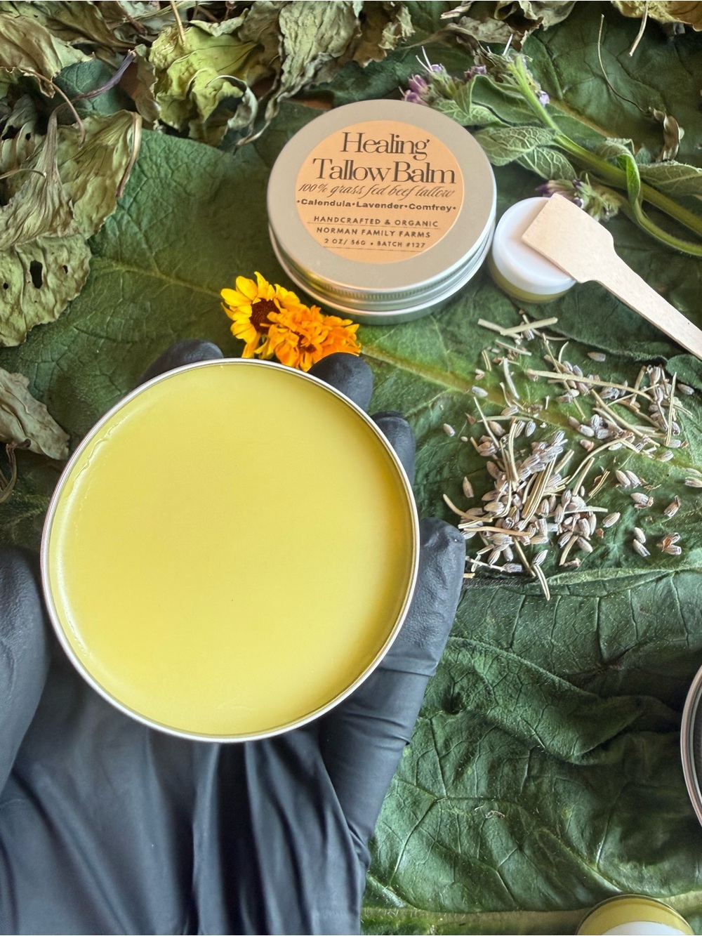 Tallow Balm - Nourishing Body Salve in Yellow